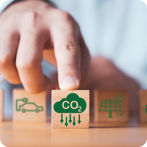 ไม้บันไดทีพีไอ